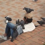 닭둘기 <b>소환</b>술사