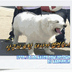 1박 2일  스타덤 <b>상근</b>이