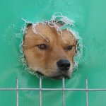 이것이 <b>개벽</b>이다.