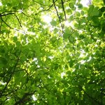 오늘의 시작(수정)