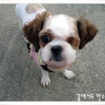 사람이 참 무섭습니다.