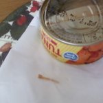 <b>동원</b>고추참치캔에서 가신지 생선뼌지... 나왓네요