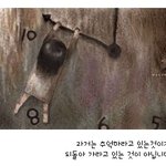 지금도 과거를 그리워하나요?