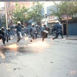 사진 <b>세장</b>