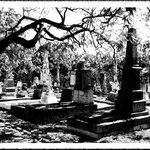 귀신을 목격한 사람들의 이야기