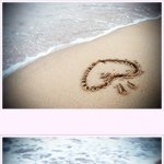 829일 간의 만남.. 그리고... 이별...