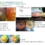 비교<b>실험</b>두둥 ㅋㅋ