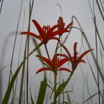 다시 비가 오려나 봅니다.