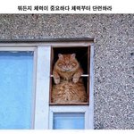 <b>동물</b>들이 살아남는법ㅋㅋ