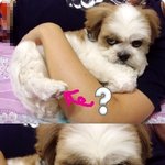 <b>둘리</b>야.. 어디 무서워서 사진 찍겠어?!