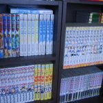 집에서만 쳐박혀 있는 오타쿠 언니