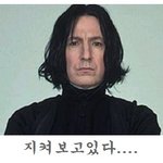 류승범과 <b>스네이프</b>교수의 관계?