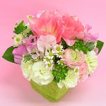 she's in <b>love</b>