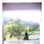 ★박씨 물어다 준 <b>제비</b> 보셨나요?