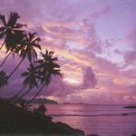 ticket <b>to</b> the tropics