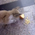 <b>맥반석</b> 계란을 사야만했던 이유 (사진有)