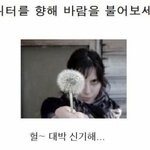 사진을 향해 <b>불어</b>보세요~!!