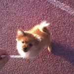 엉덩이에 똥이 대롱대롱