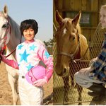 쿵푸팬더에서 각설탕까지!! 동물이 출연하는 대작! 영화 모음!!