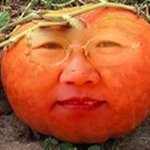 얼굴이 <b>호박</b>이에요