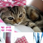 우리 <b>뚱이</b> 너무 예쁘죠? (사진있음)
