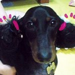사랑스런 콩콩이♡