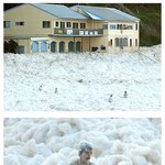 <b>거품</b>으로 변한 바다