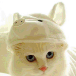 귀염<b>둥이들</b>