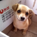 눈빛으로 <b>승부</b>하는