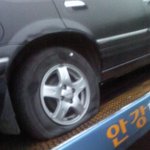 <b>포항</b>에서대구오는길 똥밝았다...사진有