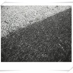 [.] <b>설탕</b>찾는 개미들