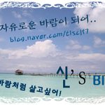 강원도 한 상근예비역의 일상 상근 life!