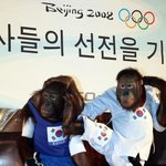 동물들도 올림픽 선수들을 응원해요ㅋㅋ