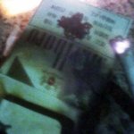 거미 죽이고 동서남북 절한 내친구 사진有