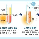 보톡스 필러 [피<b>주사</b>]