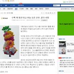 <b>풍선</b>탄 신부 ㅠㅠ