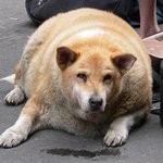 너의<b>정체</b>는 뭐냐.........