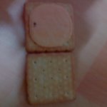 과자에서 나온이<b>물질</b> 사진-有