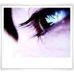 삶의 <b>향연</b>.....