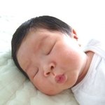 <b>무슨</b> <b>꿈</b>을 꾸는거니