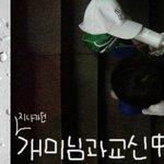 (사진有)다른별에서 왔다는 제친구
