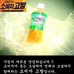 소비자고발 - 소켄비차편