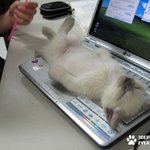 <b>컴터</b>그만하고나랑놀아