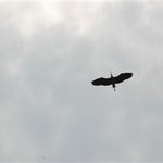 ready,get <b>set</b>, go! - radio edit - 페퍼톤스