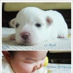 <b>말복</b>이었지