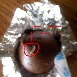 키세스 먹다가 <b>애벌레</b>가 인사했어요 사진有