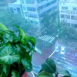 그냥 저냥 ---- <<b>번외</b>>