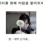 모니터를 향해 바람을 <b>불어</b>보세요