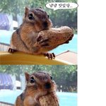 땅콩 먹다가 죽을 뻔한 <b>사연</b>ㅎㅎ