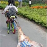 <b>남동생</b>을 대리운전해서 태워가는 <b>누나</b>